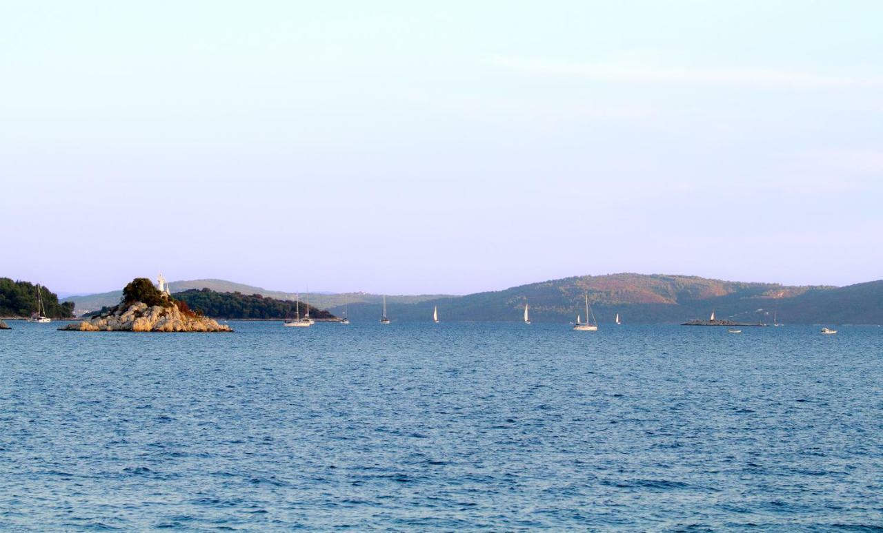 Apartment Punta